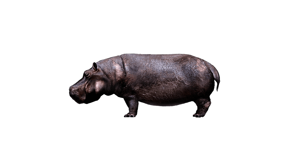 Paint Park Plus Sticker Set "TOKYO JUNGLE 1" on PS Vita Official